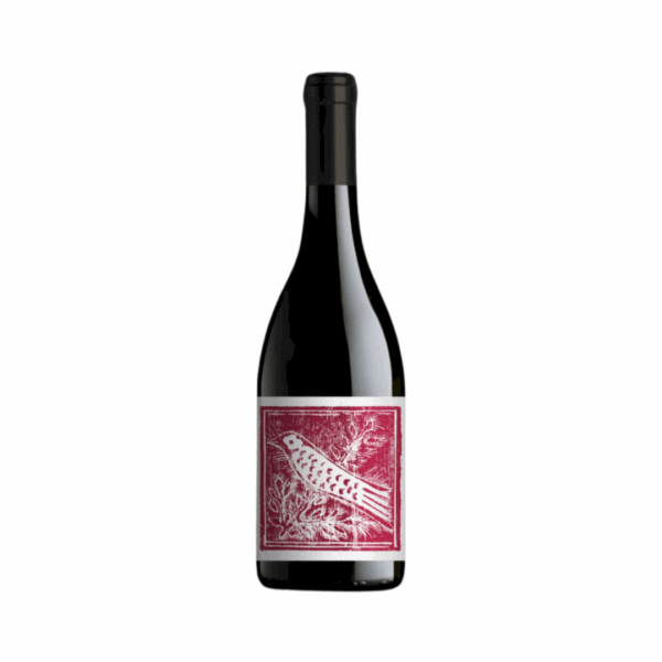 Aliotti pinot nero